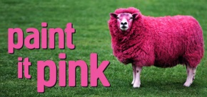 paint-it-pink-290x137 copy