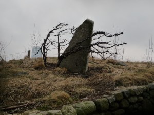 P1090105